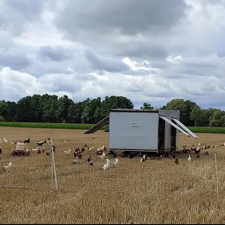 Tiny House 別荘 ランゲンゼルボルト