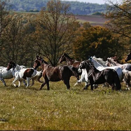 別荘 Tiny House ランゲンゼルボルト