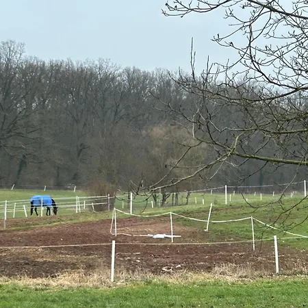 בית נופש Tiny House לנגנסלבולד