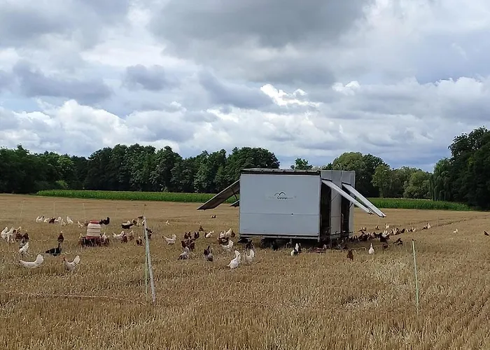 Tiny House Casa vacanze Langenselbold