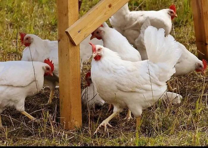Tiny House Casa vacanze Langenselbold