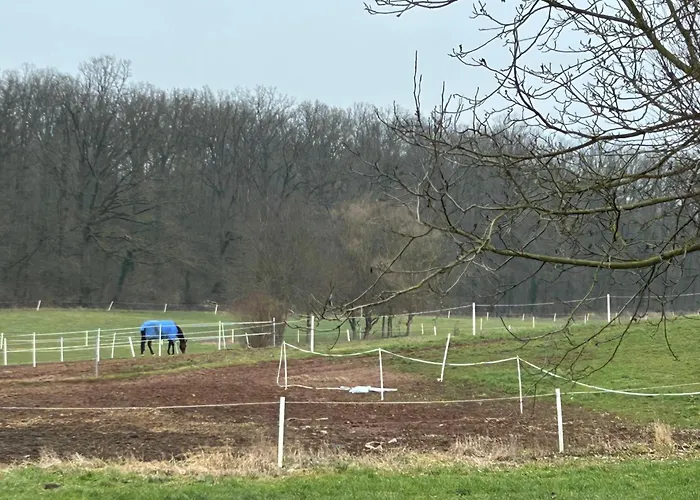 Casa vacanze Tiny House Langenselbold