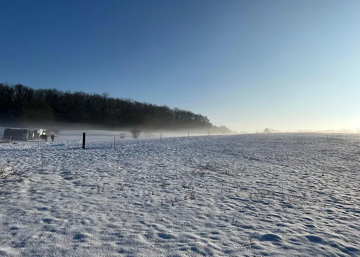 Tiny House Casa vacanze